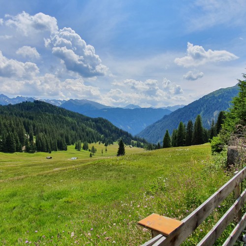 Uitzicht over de alpenweide