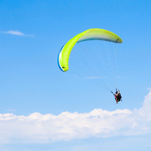 Paraglider